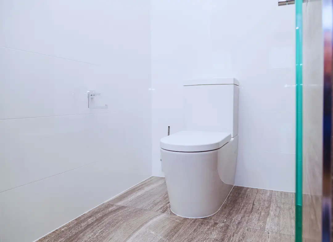 Remplacement de wc Quint-Fonsegrives